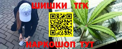 гидра Будённовск