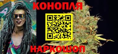 гидра Будённовск