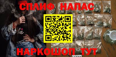 гидра Будённовск