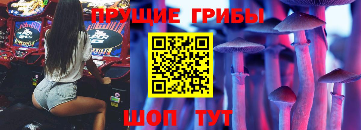 купить наркотик  Псилоцибиновые грибы Psilocybe  Псилоцибиновые грибы GOLDEN TEACHER  Вход с VPN  Красноармейск 