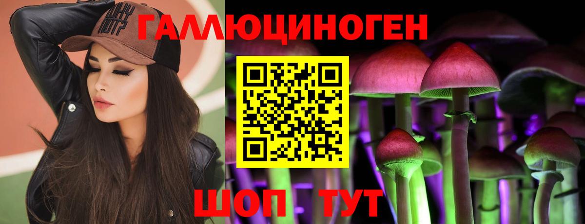 Галлюциногенные грибы Psilocybe Красноармейск